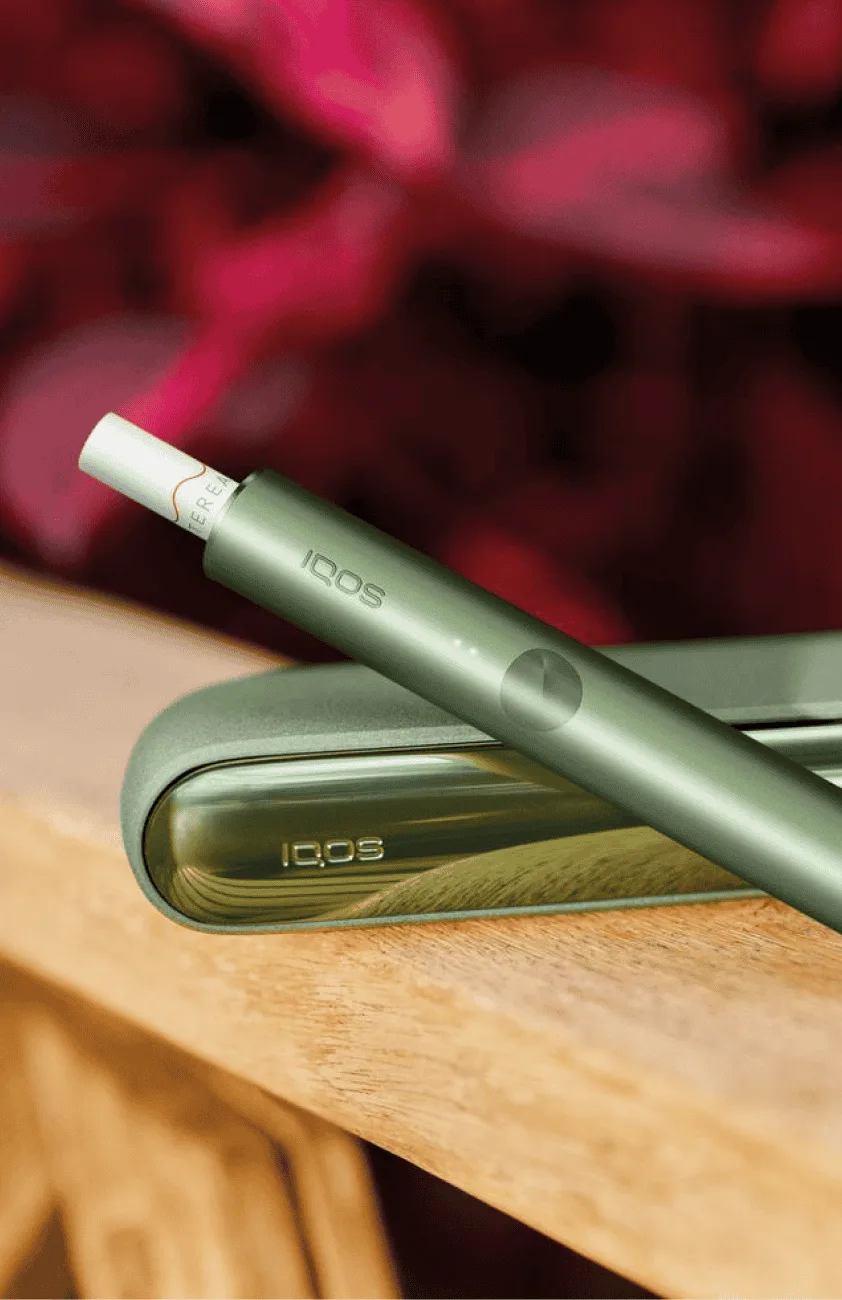 Bıçaksız yeni nesil IQOS ILUMA holder ve şarj kutusu, TEREA stick takılı — temizlik gerektirmez